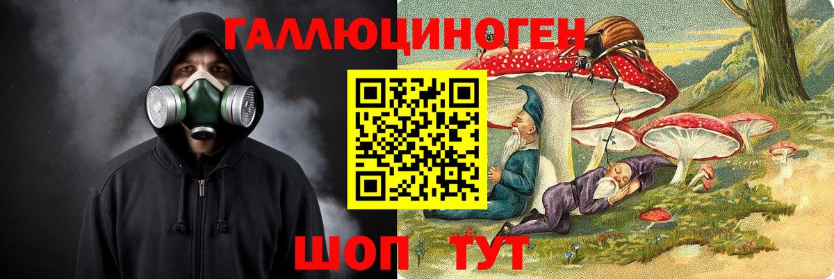 Псилоцибиновые грибы MAGIC MUSHROOMS Протвино